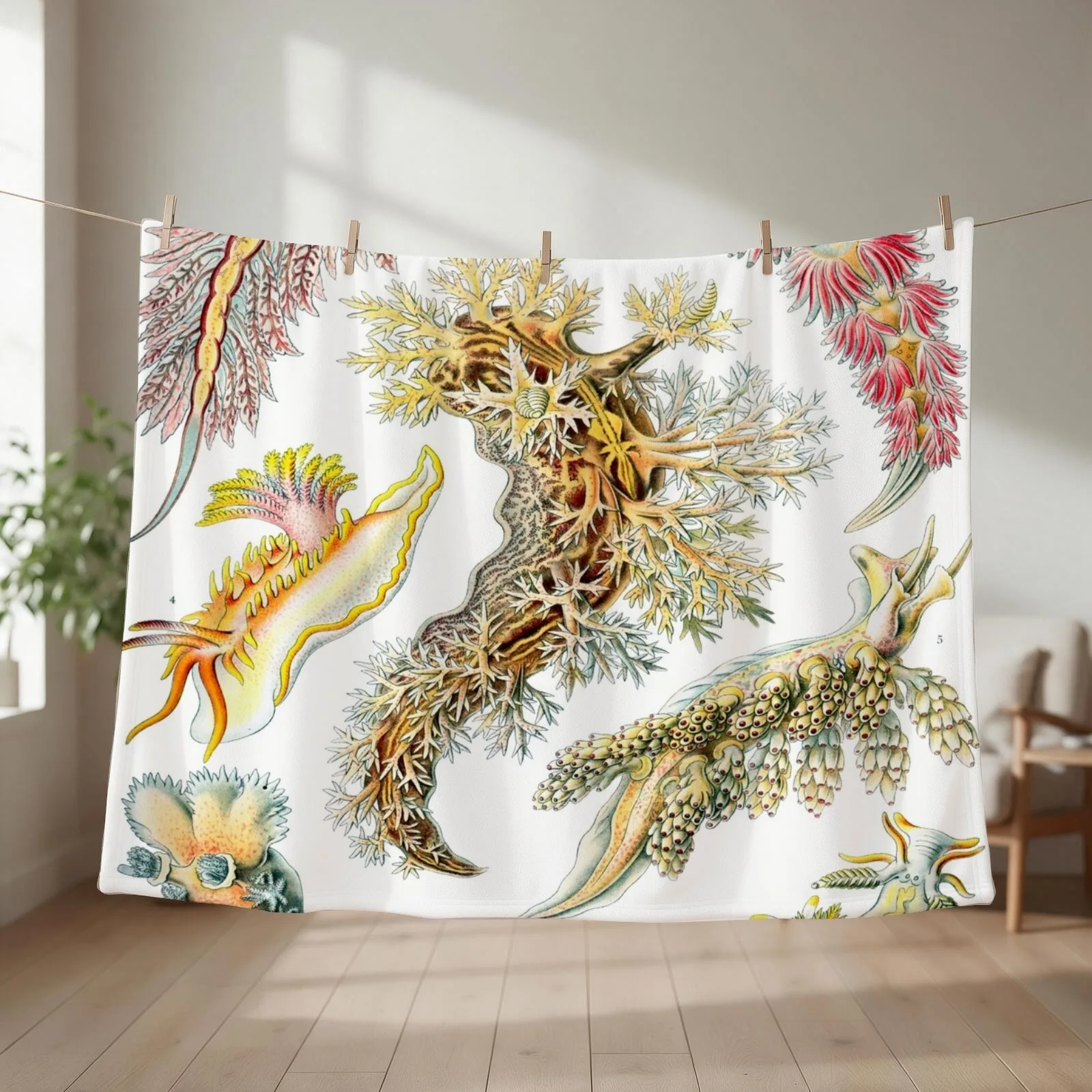 Haeckel Nudibranchia Drawing Throw Blanket couch cozy soft plush fuzzy picnic outdoor blanket