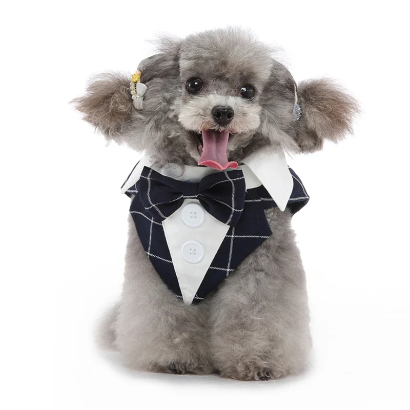 Luxuriöses Herren-Haustierkostüm für kleine Hunde – Hochwertiger Welpen-Frackanzug für Chihuahua, Malteser und andere Haustiere – Hochzeitskleidung – Detail 2