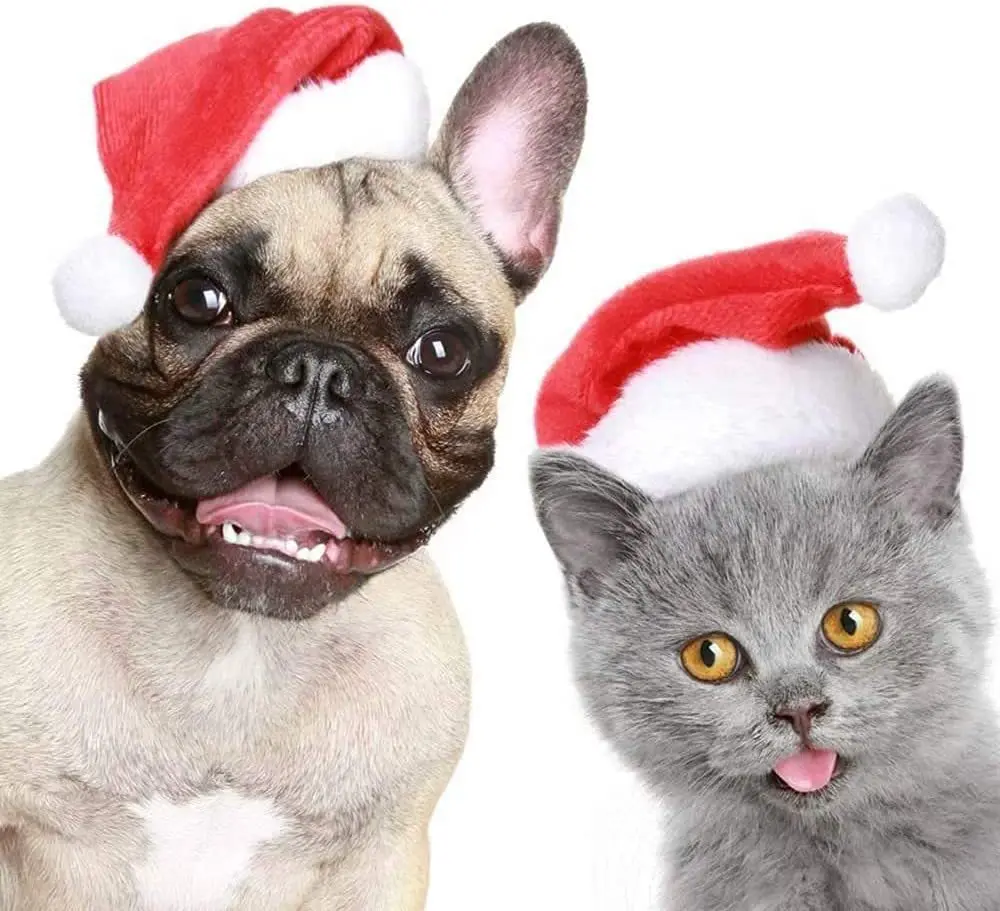 Christmas Pet Hat Santa Claus Hat for Cats Dogs Puppy Xmas Decoration New Year Party Supplies Small Dogs Pet Costume