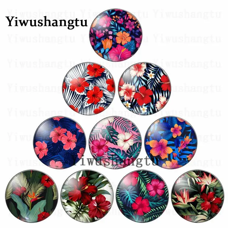 Beauty amaryllis flower colourful blooming  12mm/20mm/25mm/30mm photo glass cabochon demo flat back Making findings
