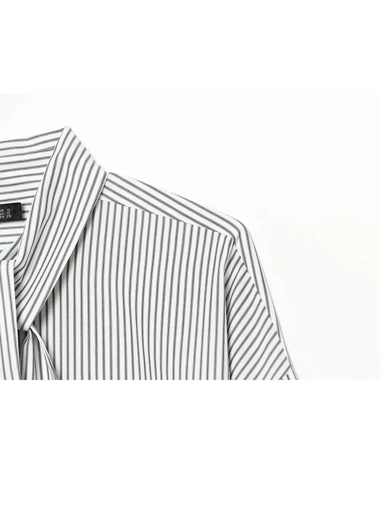 Chemise à manches longues en popeline rayée pour femme HH, chic, à simple boutonnage, décontractée, ample, pour le travail