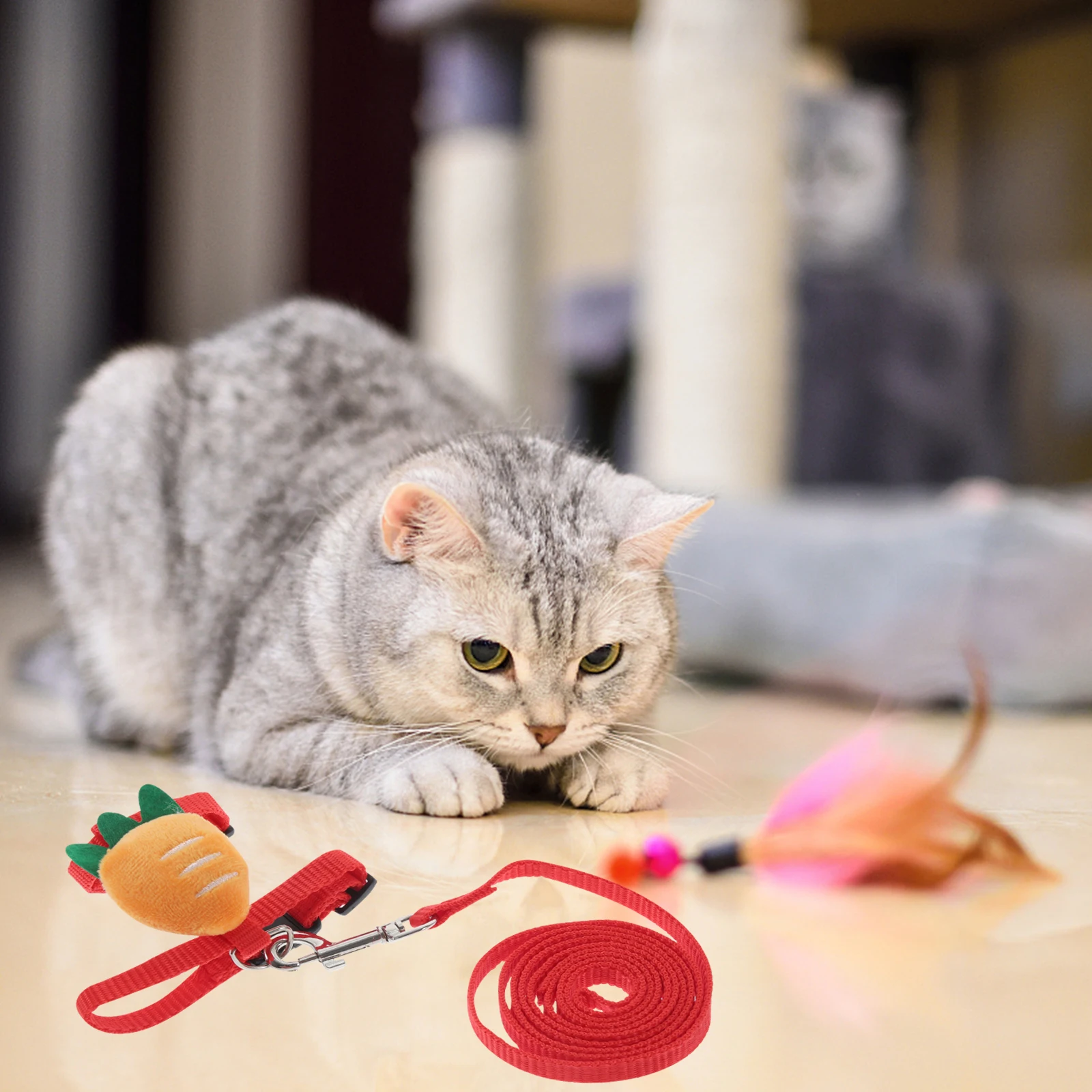 

Pet Leash Small Pet Harness Nylon Sleeveless Design Durable Breathable Fashion Party Outdoor -Catching