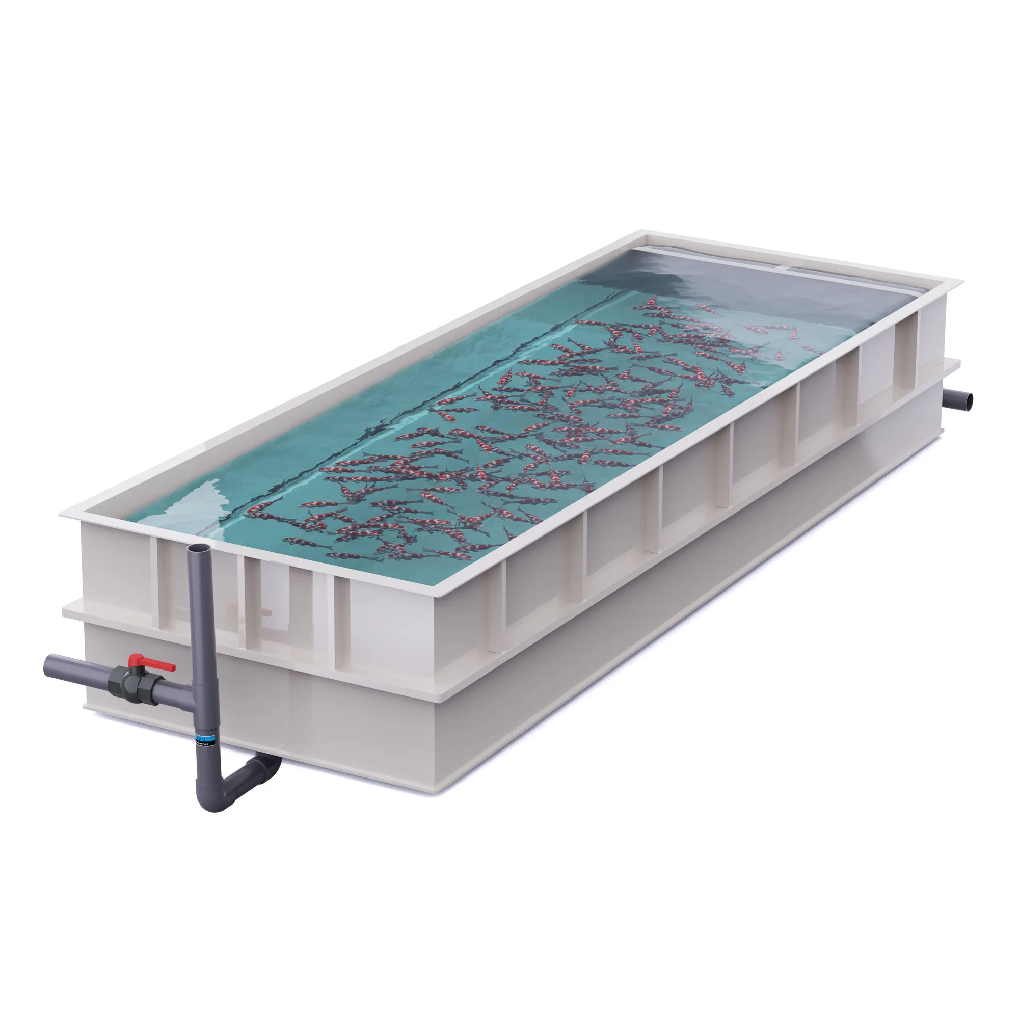 Aquaculture Shrimp Lars Pond Square Nursery Fish Tank