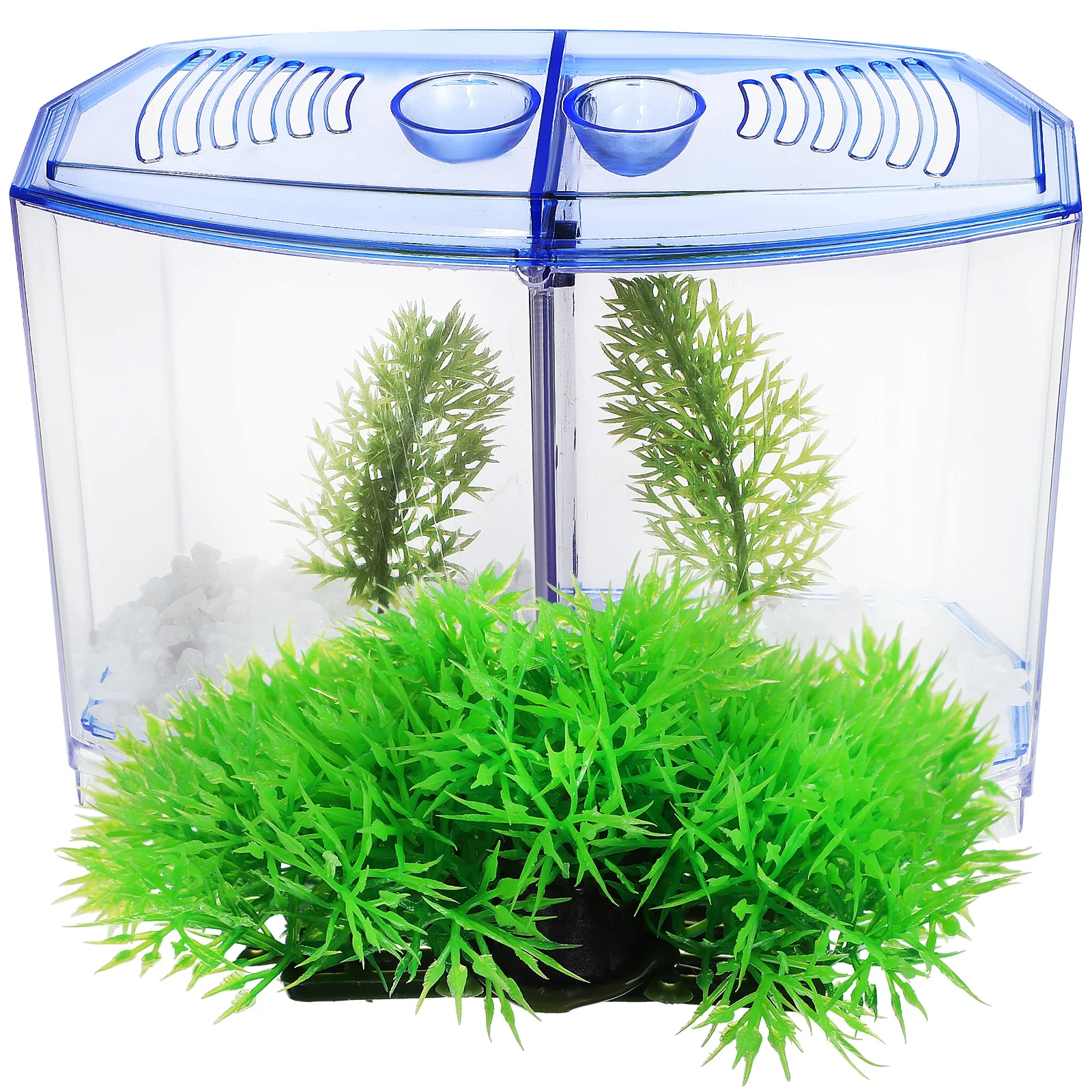 

Plastic Fish Tank Set with Aquatic Plants Mini Desktop Transparent Breeding Box for Small Fish Hydroponic DIY Fake Grass