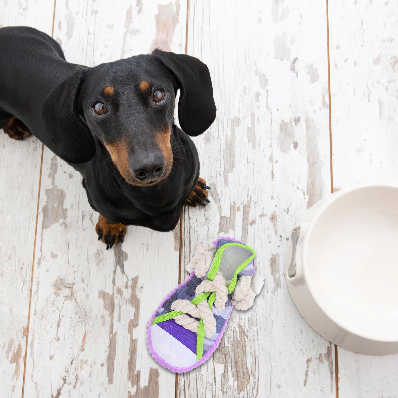 

Dog Bite-Resistant Knotted Rope Interactive Indoor Outdoor Teeth Grinding Chew Puppy Small Dog Play Puppy Chew Toy