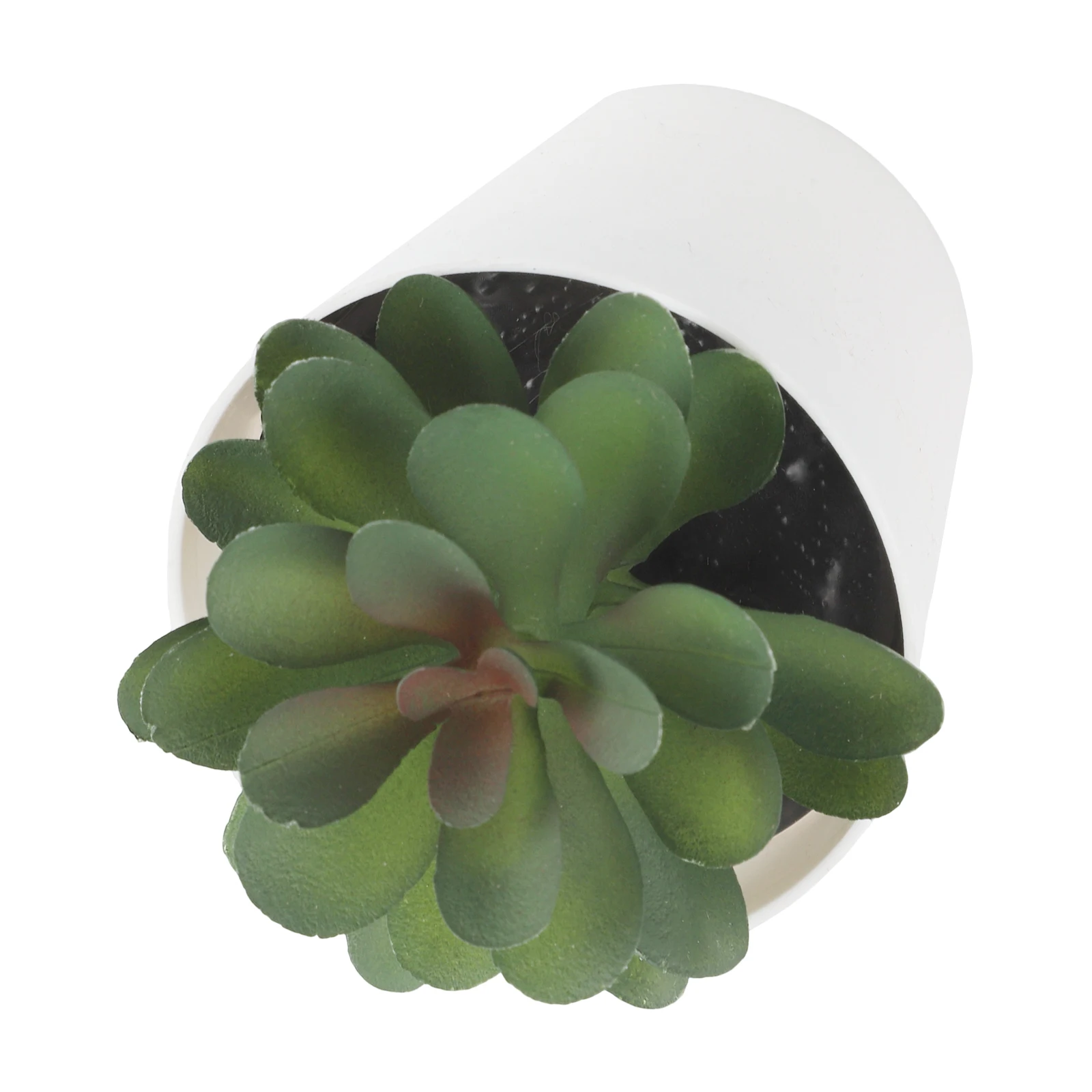 

Набор суккулентов для декора рабочего стола, композиция 16*20*7 см, 3 разных растения, декор для дома и офиса, современный дизайн