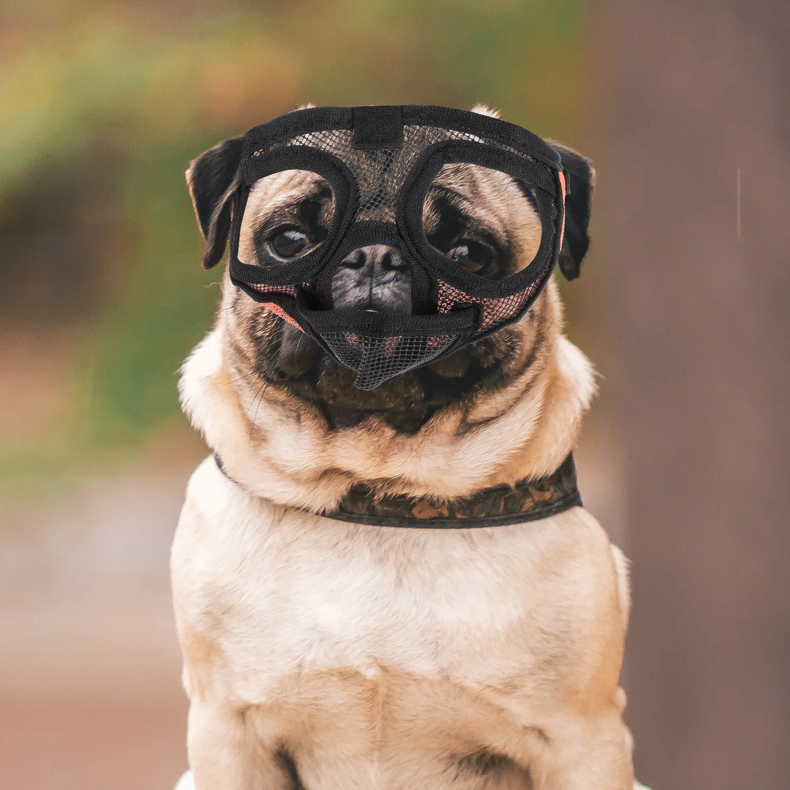 

Dog Muzzle Short Snout Breathable Mesh Adjustable Anti Bark Bite Mask Safe Outdoor Pet Mouth Cover Short Snout Dog Muzzle