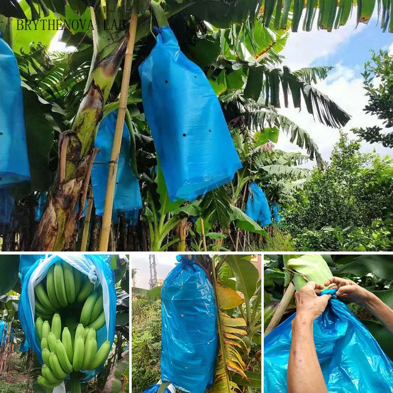 15 Pcs 5/10/ Banana Protect Bag Fruit Protection Bags with Against Hole Cold Frost Insect Pouch Banana Bunch Protection Cover