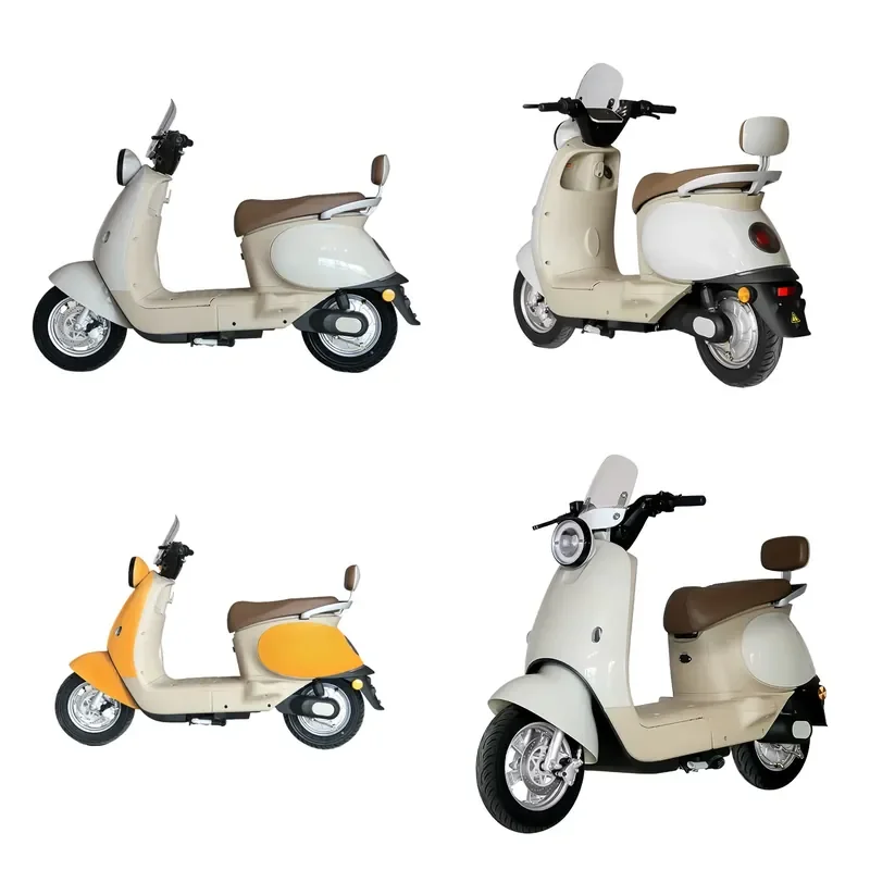 Paige 800W/1000W Brushless Cheap Electric Bike Low Price Popular Moto Bicicleta Electrica Bicycle Scooter E Bike V6