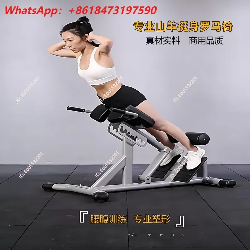 Foldable Roman Chair Multifunctional Sit Up Bench Abdominal Waist Training Equipment Home Gym Back Extension Exercise Board