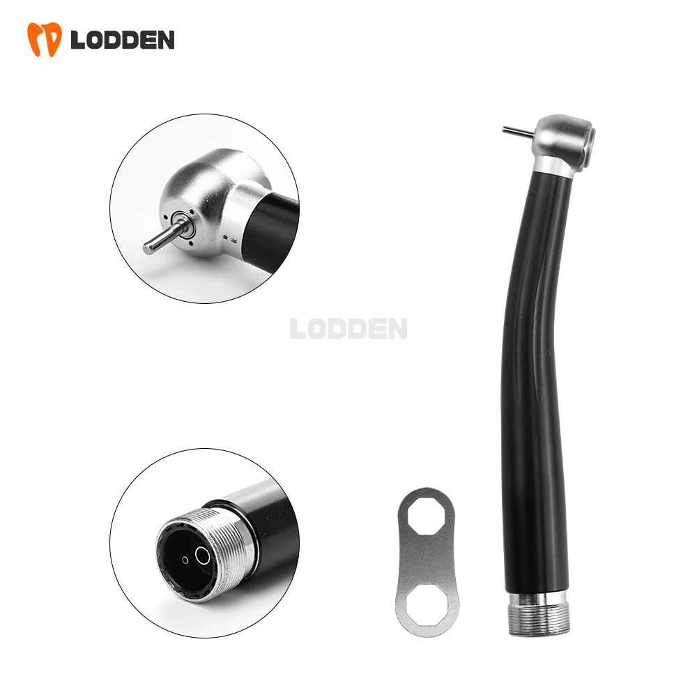 LODDEN Kit manipolo dentale ad alta velocità 2/4 fori Punte per odontoiatria Turbina ad aria Penne ad alta rotazione per dentisti Attrezzature Strumenti