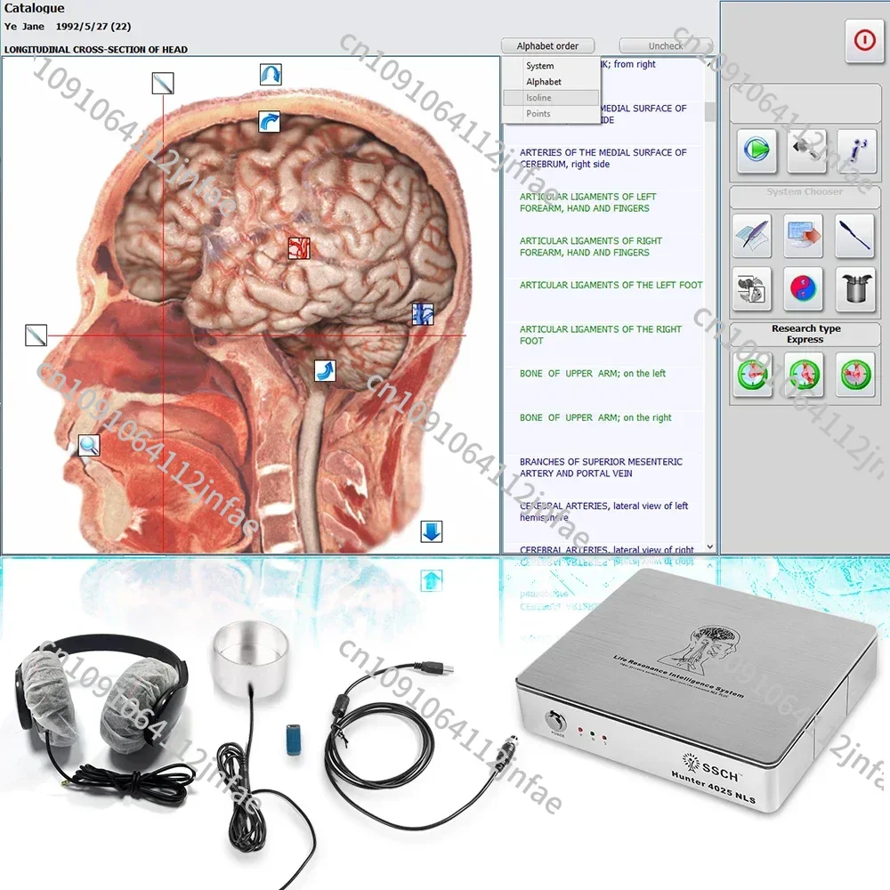 Professional Metatron Hunter 4025 Nls 8D 25D Completo Software 2022 Biological Resonance Health Scanner