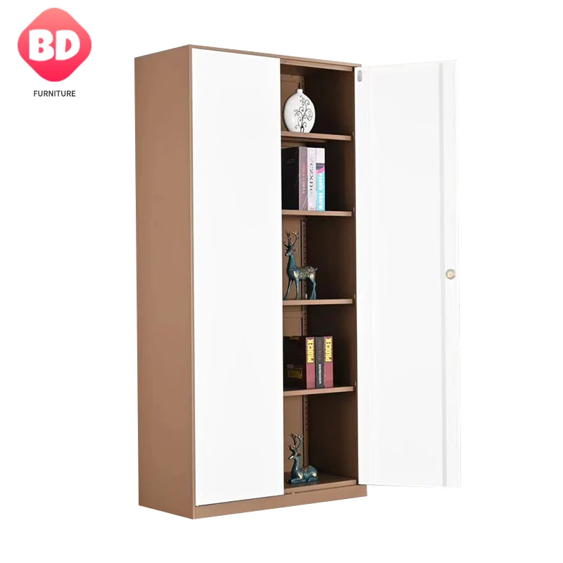 

2 Door Metal Vertical Filing Cabinet for Office and School, Steel Storage Filing Closet, High Quality Documents Storage Cabinet