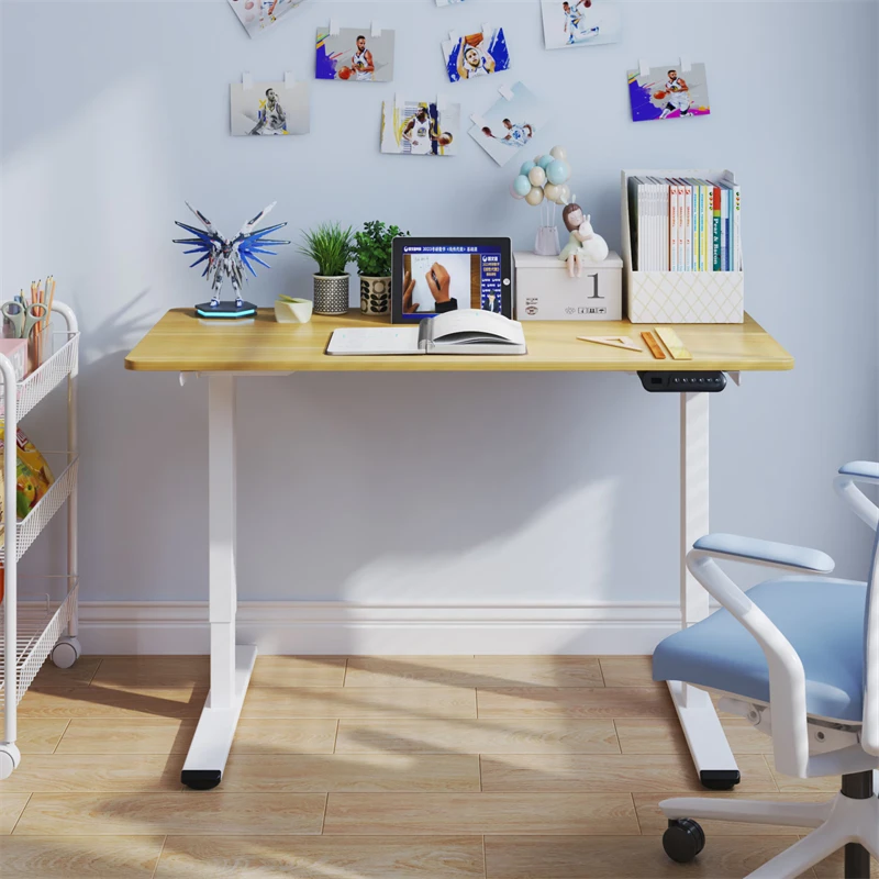 

Electric Standing Desk Adjustable Height Desk Home Office Computer Workstation Sit Stand up Desk, Dual Motor, 48 x 24 inches