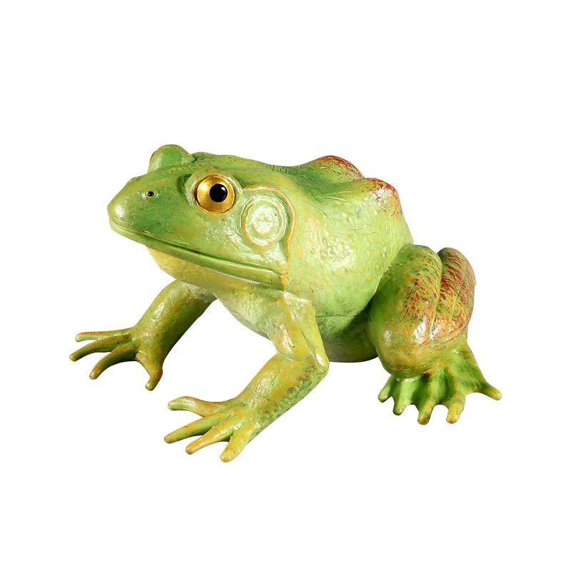 AliExpress XIALIBAOMOWAN Educational Wild Insect Animals Bullfrog Life Cycle Toy - Simulation Tadpole to Frog Growth Action Figure Kids Collection Gift