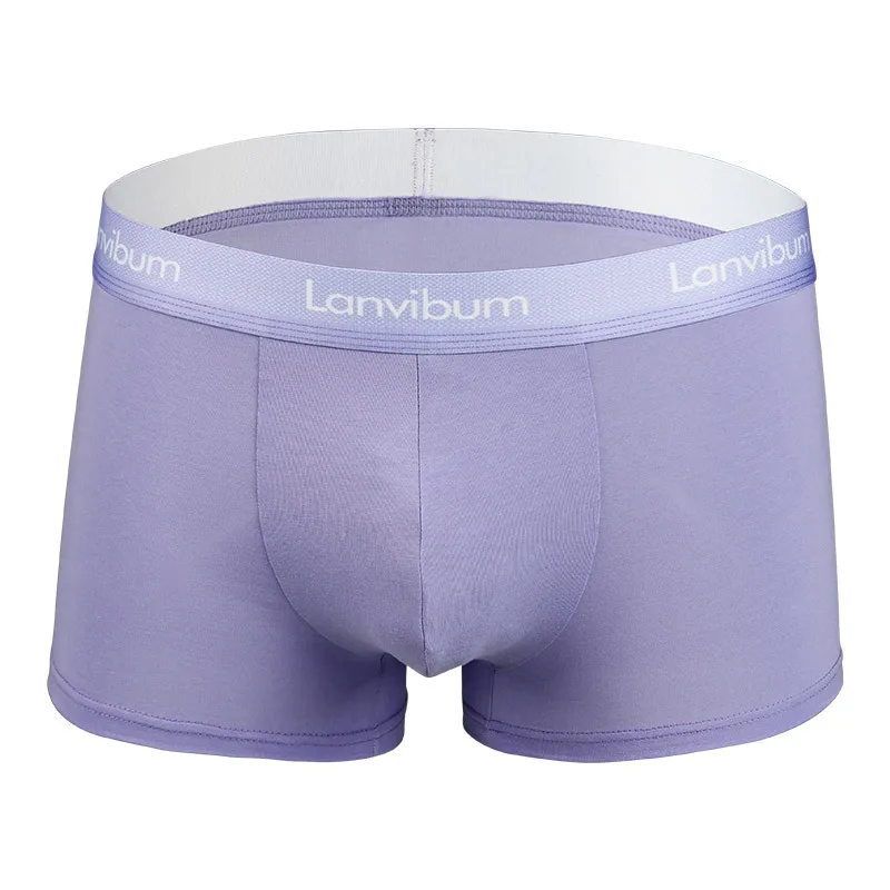 Men\'s breathable U-Bulge briefs sexy lingerie Chubby large sizeshorts Underwear See-through Fashion new Underpants