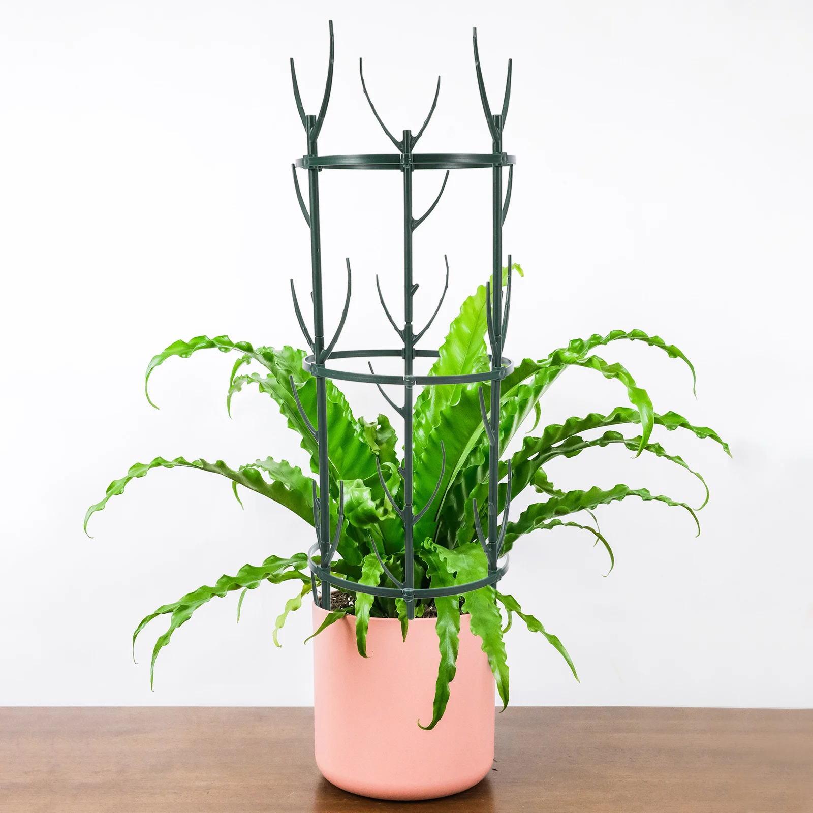 

Plant Trellis Detachable 3 Tiers Climbing Plants Support Rack Stackable Twig Trellis for Garden Indoor Plants Flower Sticks