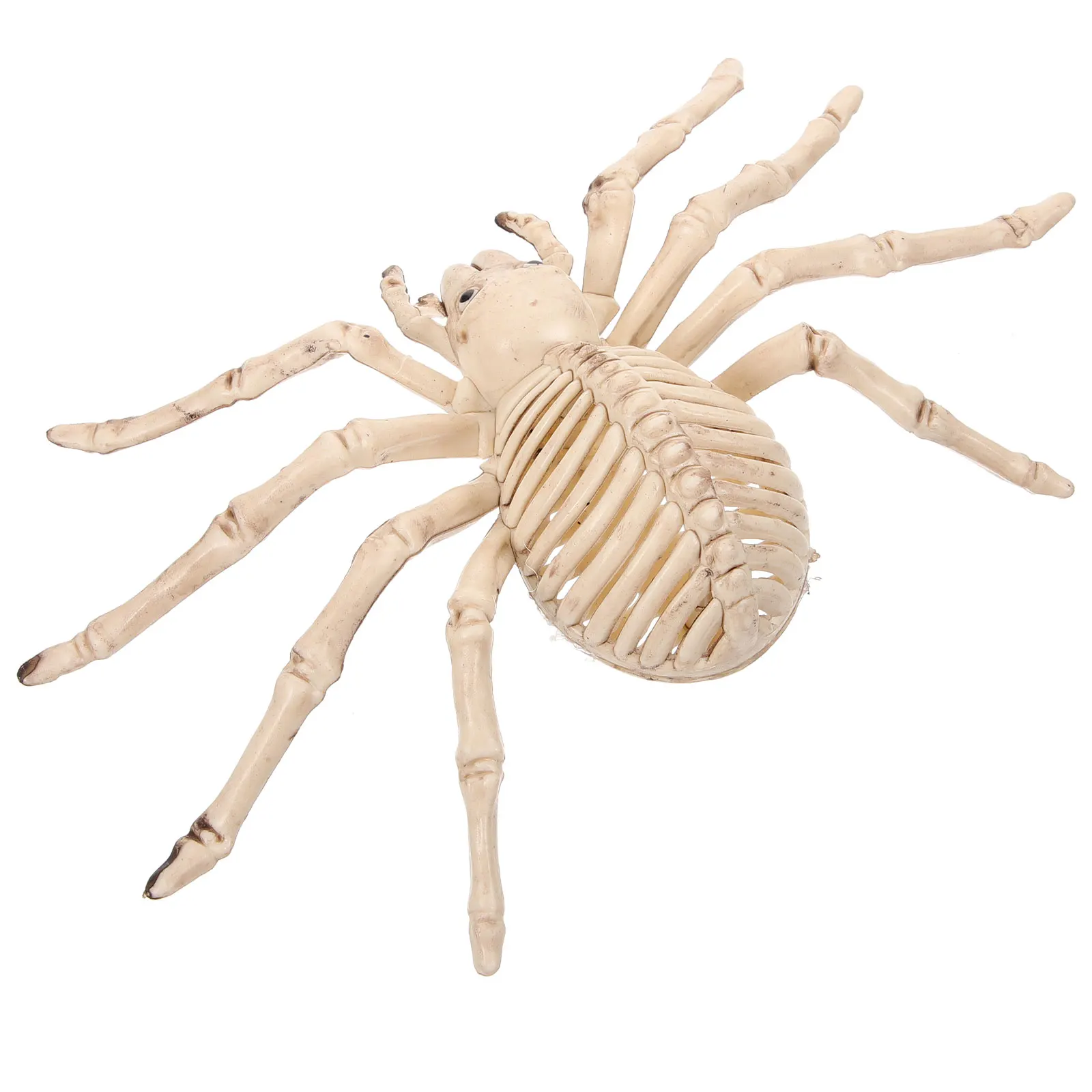 هالوين الجمجمة العنكبوت العظام الزينة البلاستيك الدعائم مخيف شبح الرعب رواية واقعية ABS احتفالية شريط المنزل الطرف #5