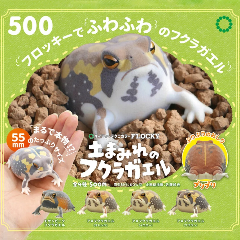 

Round Rain Frog American Frog Palm Amphibian Figures Ikimon Capsule Toys Kawaii Nature Techni Color Flocky Tsuchimamireno Gifts