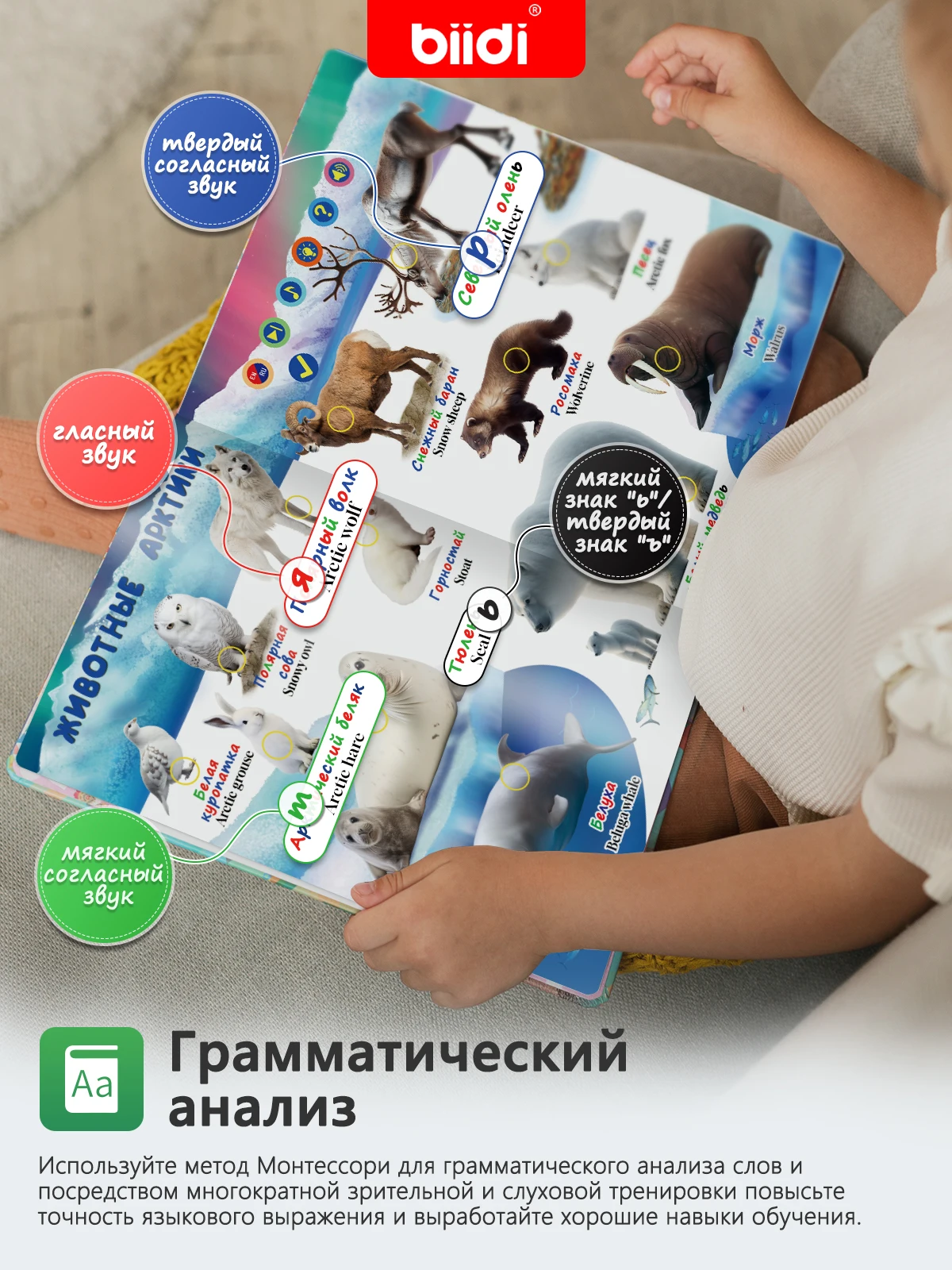 English, Russian Bilingual Audiobooks Learning eBooks Bilingual Children's Toy Books Music Books Development