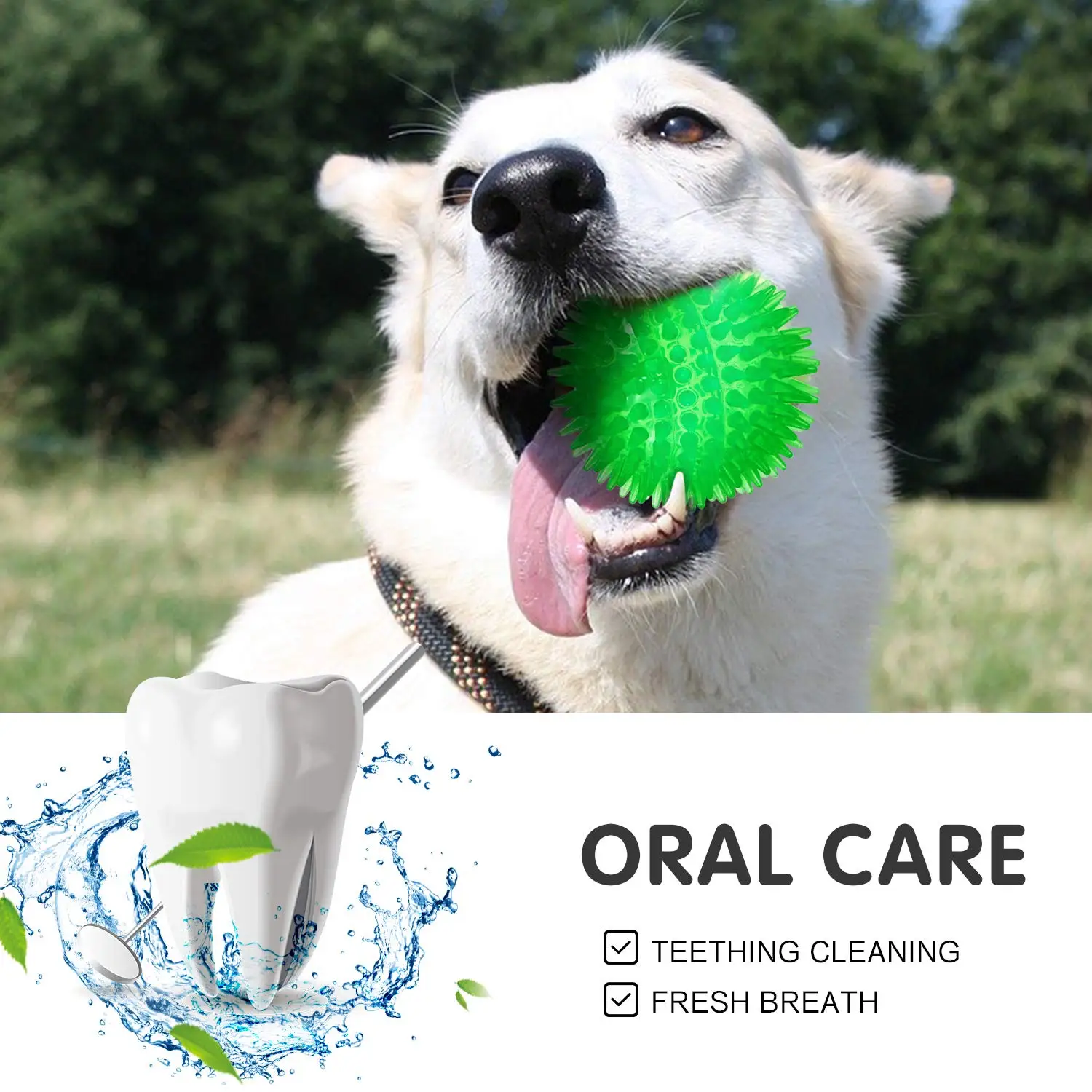 3/6Pcs Squeaky Dog Ball Toys,Dog Chew Balls for Boredom, Floatable Pool Dog Toys,Puppy Teeth Cleaning Toys for Small Medium Dogs - Image 5