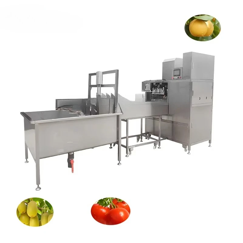 Fully Automatic  Pear Peeling Machine for Fruit Canning Factories Efficient Energy Saving to Improve Canning Efficiency