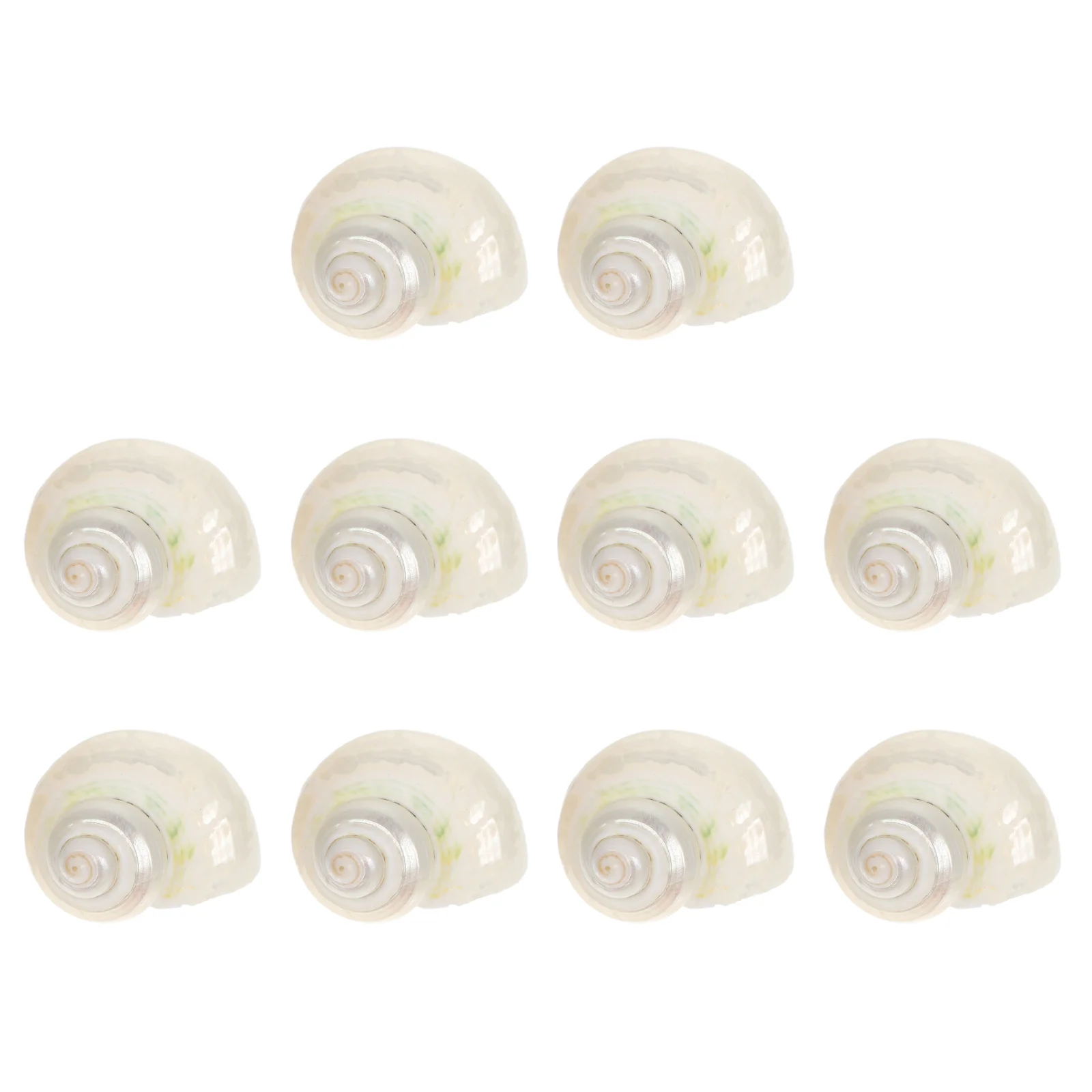 

10Pcs Hermit Crab Shells Natural Conch Fish Tank Decor Aquarium Shells DIY Shell Crafts Aquarium Decoration Accessories