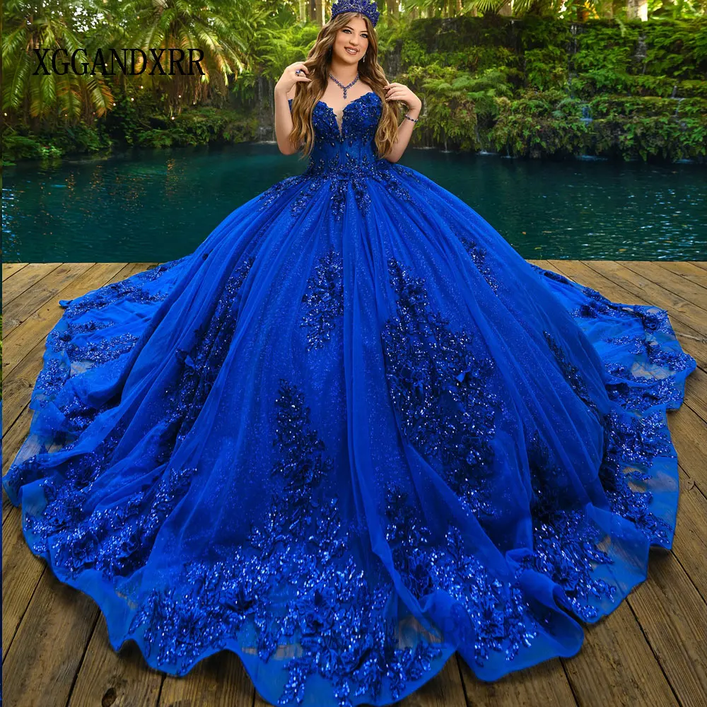

Customized Royal Blue Quinceanera Dresses Gorgeous Sequin Applique 3D Floral Lace Tulle Sweet 16 Dress Vestidos De 15 Anos
