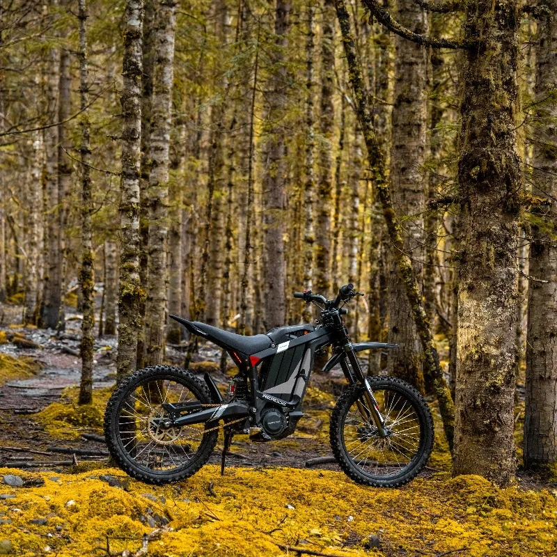 Type-C Dual Charging Port Electric Dirt Bike 8KW Off-Road E-Moto IP65 Waterproof 85km/h Max Speed On-The-Go Charging Phone