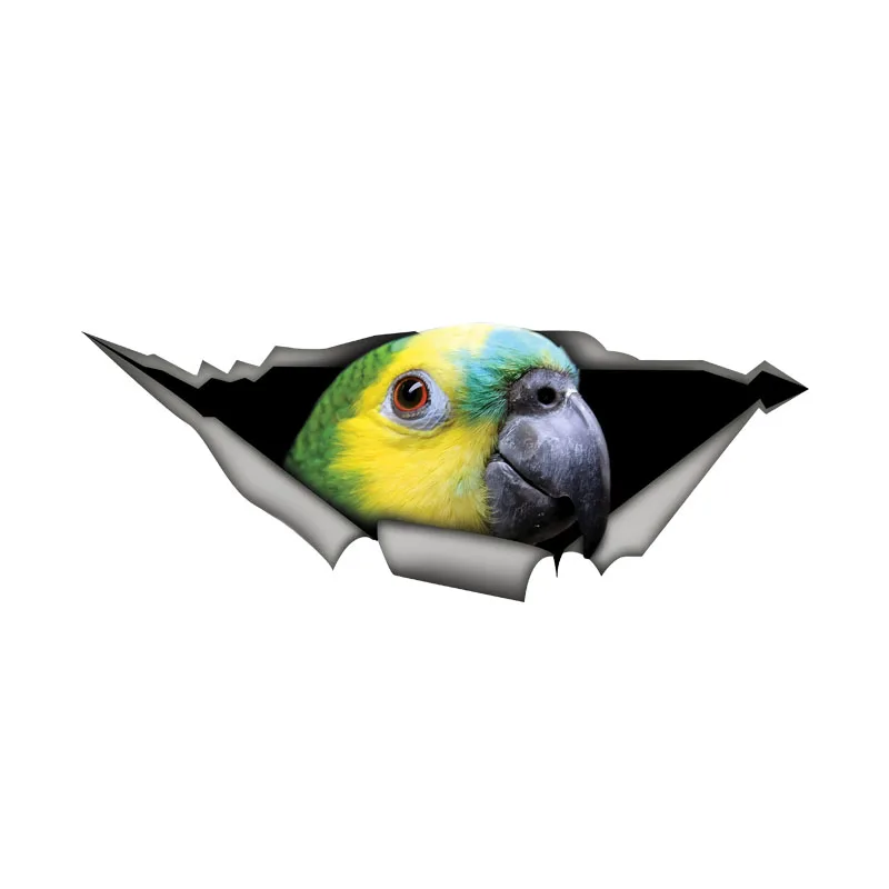 DK582# Blue Fronted Amazon Parrot Car Stickers Funny Waterproof Vinyl Decal Motorcycle Decorative Accessories, Used for Car, Mot