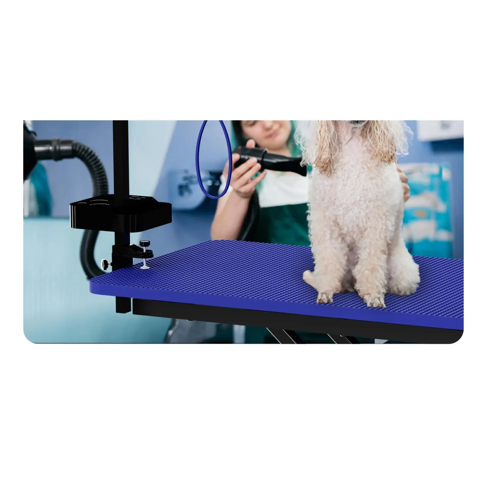

Стол для груминга крупных собак, синий, регулируемый по высоте, с подлокотником и креплениями для груминга собак