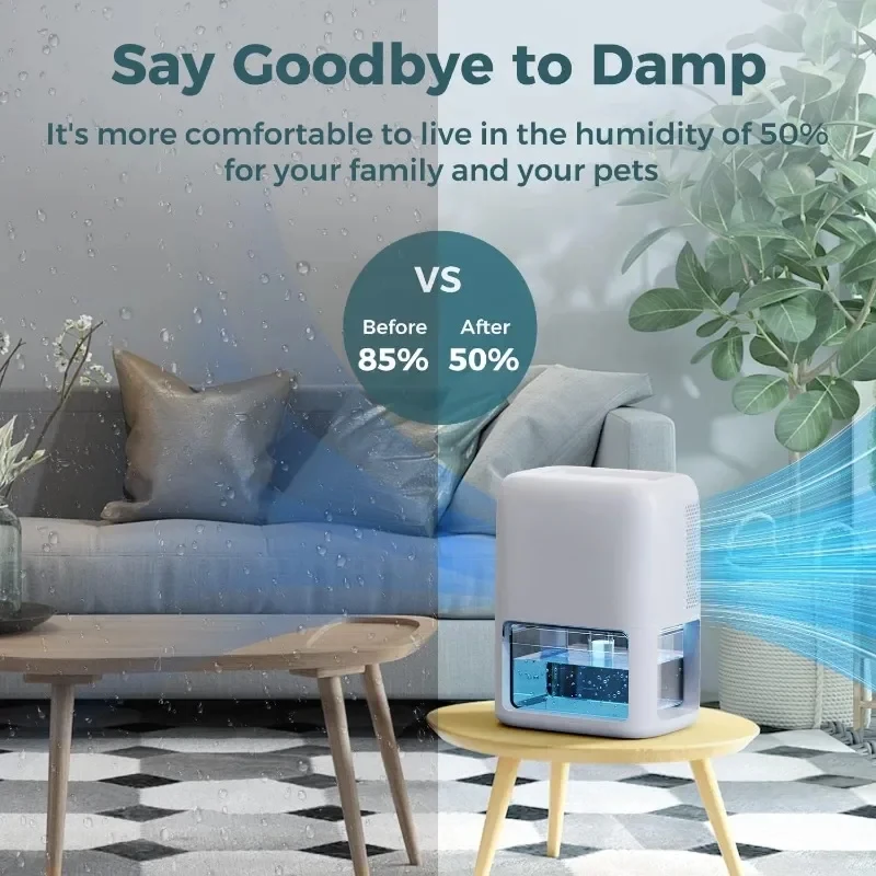 Home Dehumidifier Dual Semiconductor Silent with Timer Sleep Mode Automatic Shutoff Portable