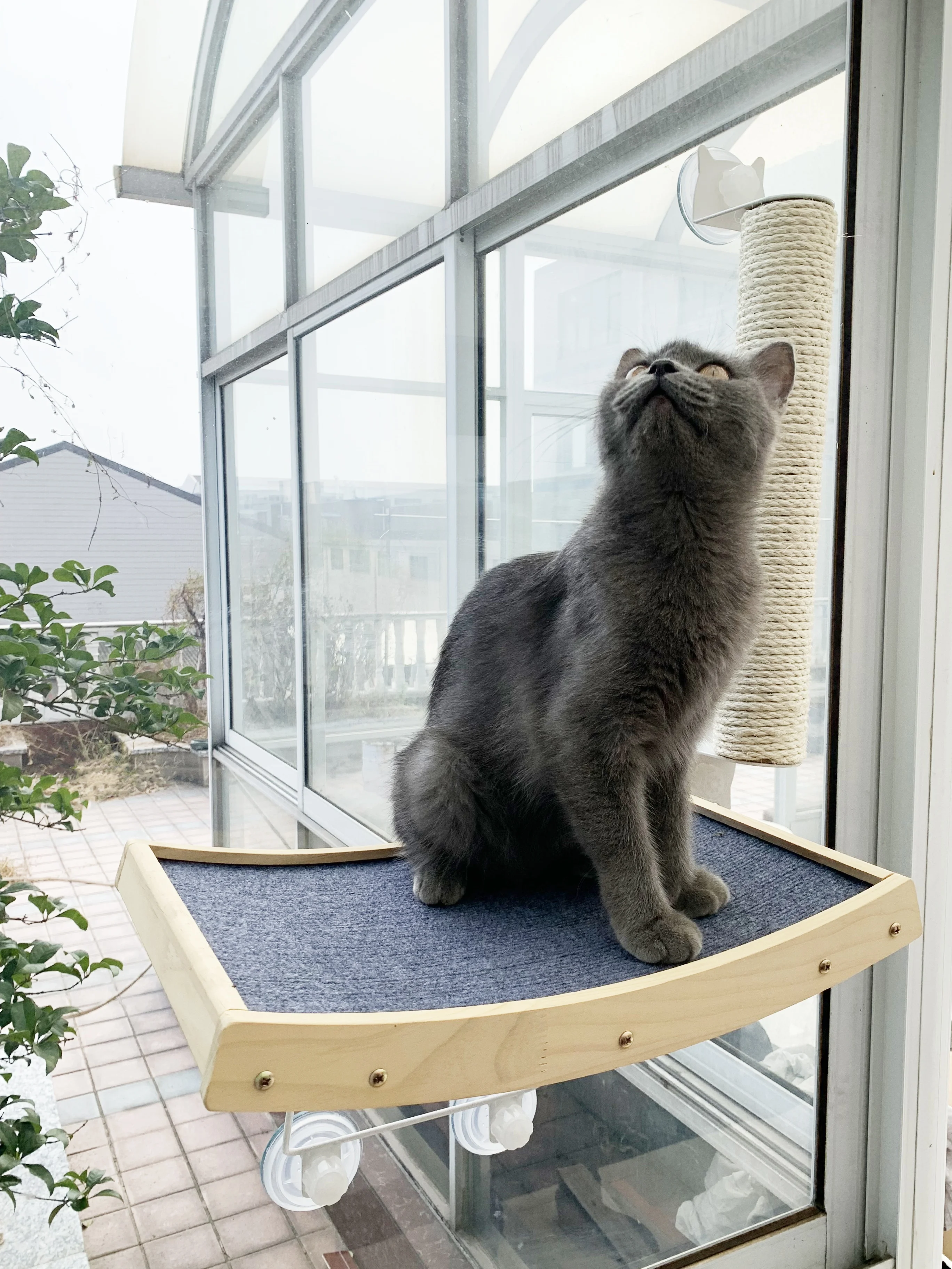 Prototipo de muebles de madera para gatos, poste rascador para gatos montado en la pared, poste rascador para gatos con Sisal