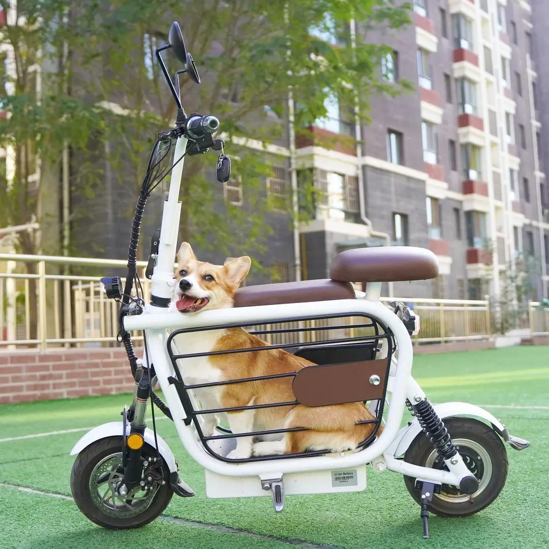 Beliebtestes 400-Watt-Elektrofahrrad Faltbares E-Bike mit Haustierkorb