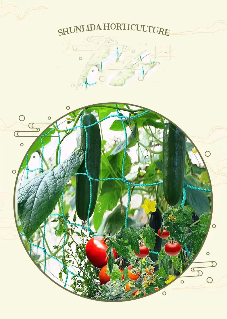 Plant Garden Trellis Net for Grape and cucumber Bonsai Frame Nylon Net Morning Glory Climbing for Household Use