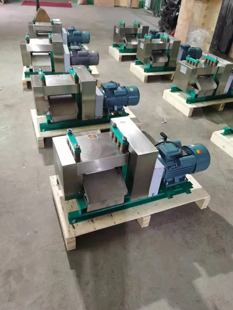 Stainless Steel Sugarcane Juicer for Commercial Business in China