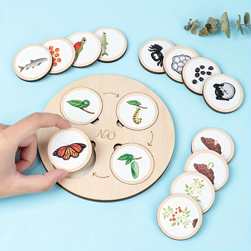 1 Set Animal Life Cycle Board Children Toys Montessori Teaching Aids Plant Animal Growth Cycle Model Set Preschool Cognitive Toy