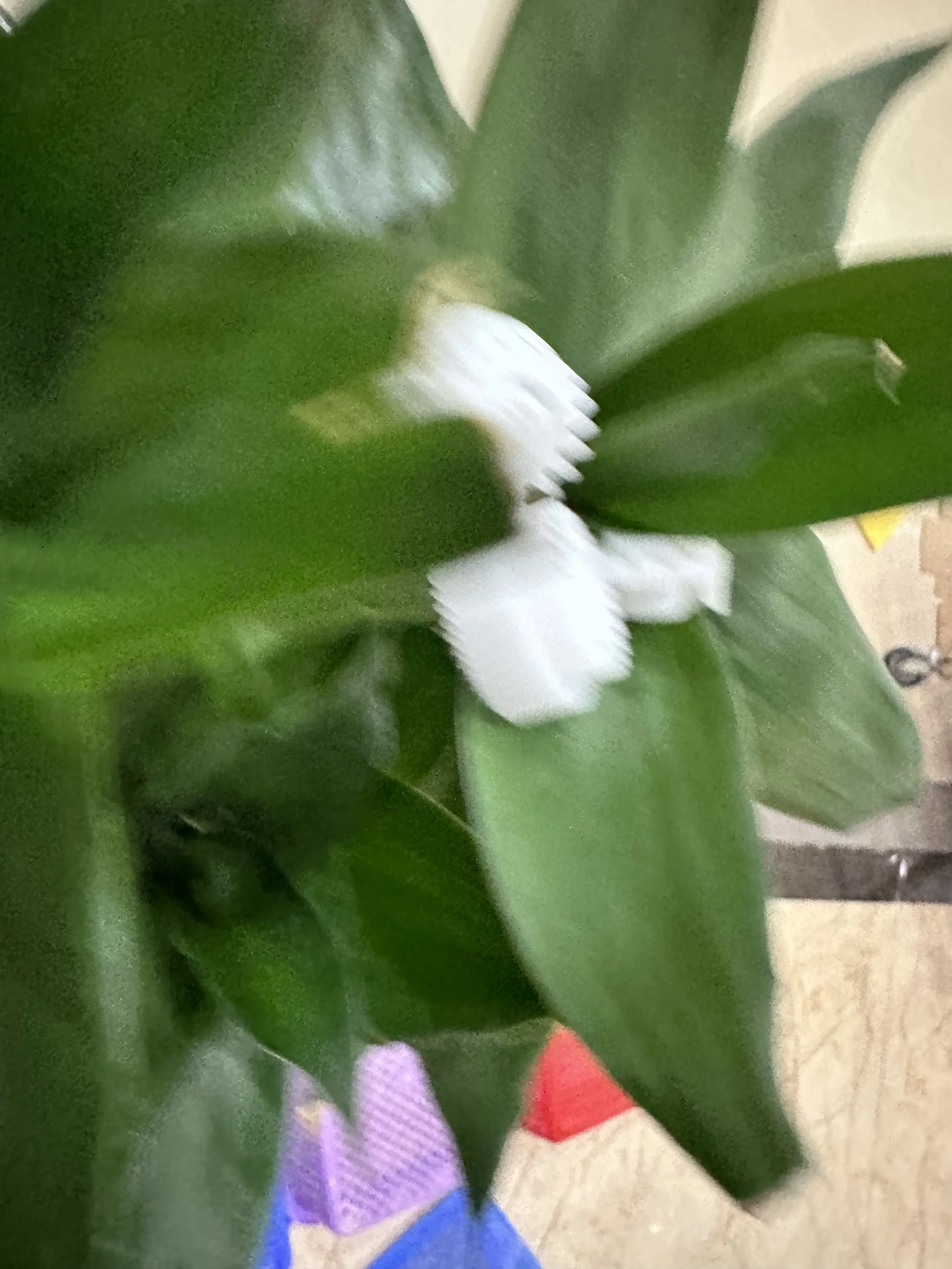 

50X приводная шестерня фьюзера для Brother L2500 L2520 L2540 L2560 L2300 L2320 L2340 L2360 L2380 L2680 L2700 L2703 L2705 L2720 L2740