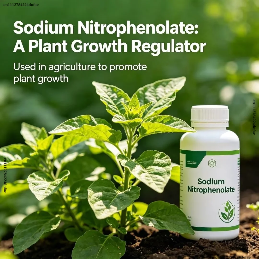 98% Sodium Nitrophenolate Plan - Aquarium Fertilizer review and price