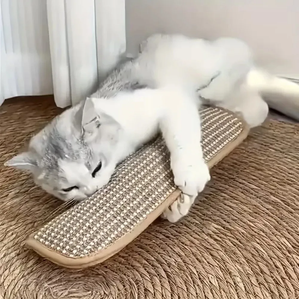 Coussin de jeu pour jouets et tapis à griffer pour chat, pour le jeu seul et l'interaction intime, pour garder votre ami félin heureux et apaisé