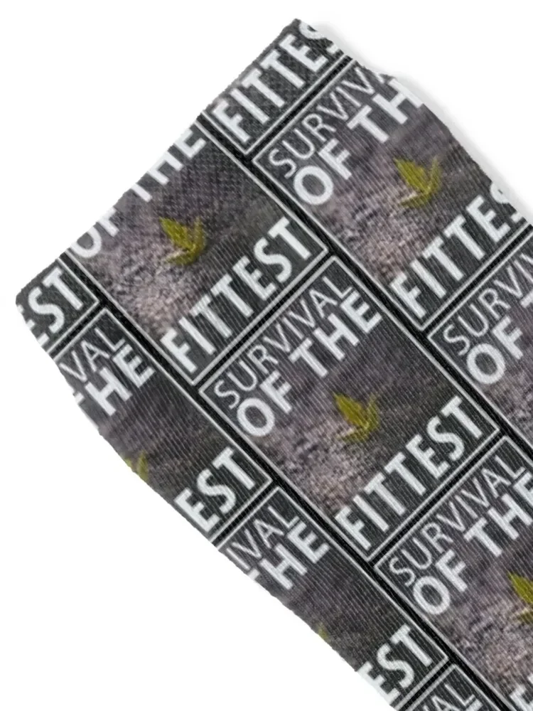 Survival Of The Fittest Socks basketball Men's loose cartoon Socks Girl Men's