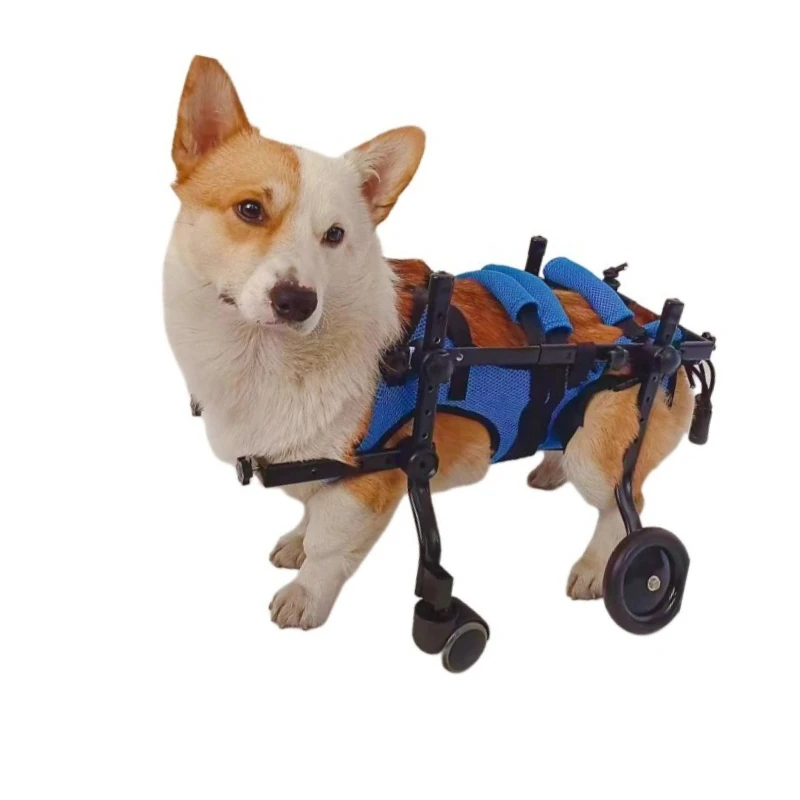 4-Wheel Rear Leg Rehabilitation System, Support Cart for Paralyzed & Disabled Pets | Stable Mobility & Recovery Aid
