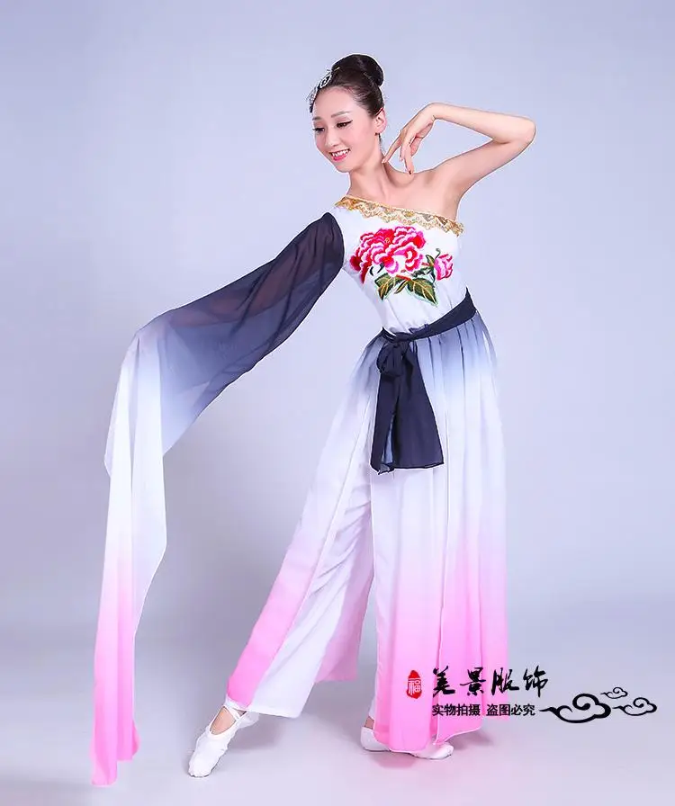 Klassisches Tanz kostüm weibliches Yangko-Tanz Single Shoulder Sleeve Dance Kostüm im chinesischen Stil National kostüm