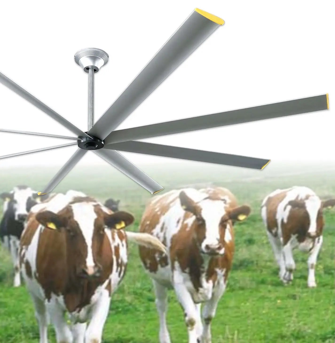 Ceiling Fan for Cow House Horse Barn Air Cooling and Circulation Solar Powered PMSM 10ft Commercial Big Ass Fan