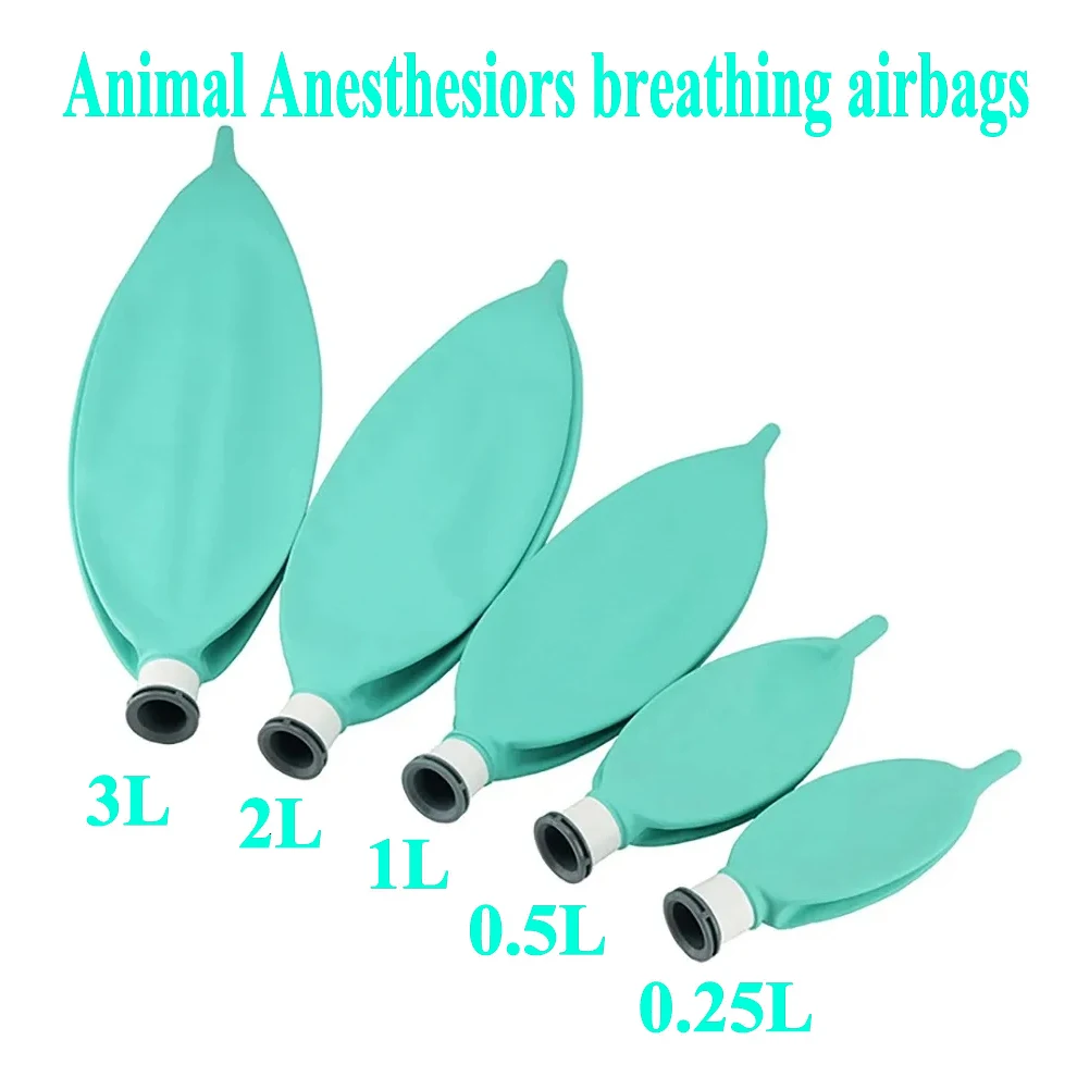 

Animal Anesthesia Machine Air Storage Bag Non Latex Simulated Lung Air Storage Bag Breathing Bag Anesthesia Respiratory Circuit