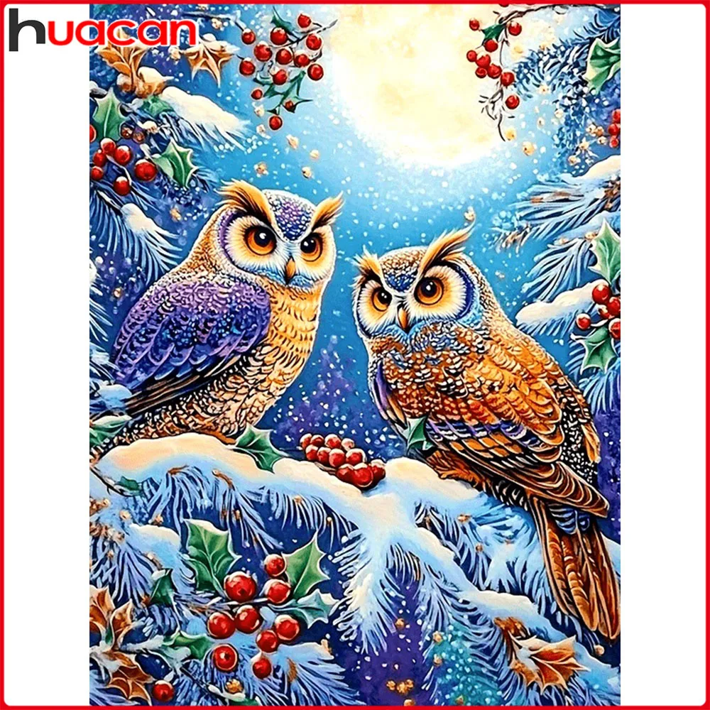 Huacan Volldiamantgemälde, Eule, Winter, Diamantmosaik, Tierlandschaft, neue Kollektion 2025, Strassbilder