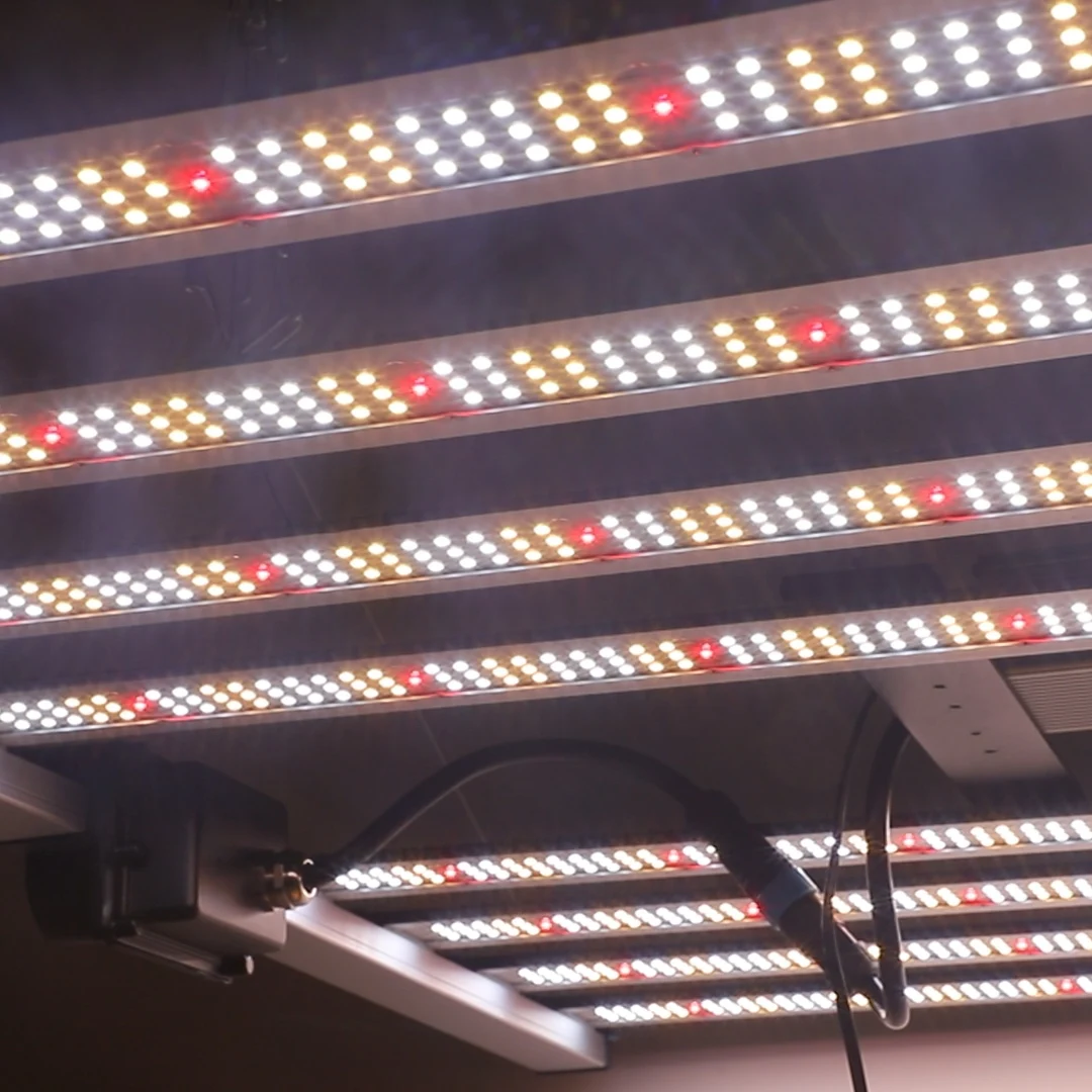 

Indoor Plants Growing Light