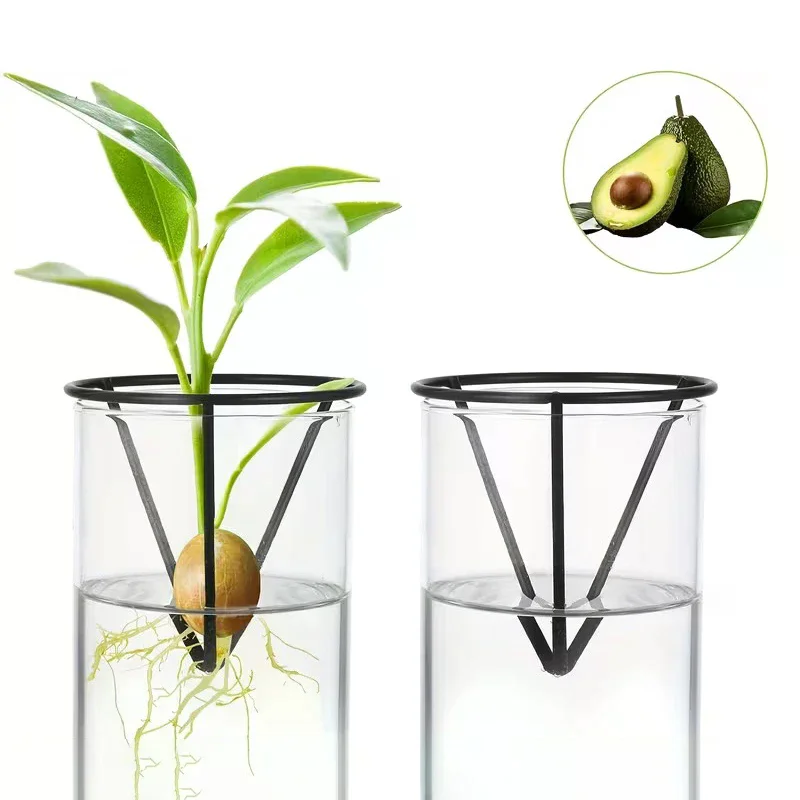 1/2/4pcs Avocado Seed Starter Vase Holders Avocado Seed Growing Triangle Metal Stand Carrots, Sweet Potatoes Growing Stand