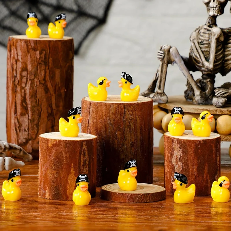 6/12Pcs Mini Resin Pirate Ducks Miniatures, Tiny Animals Figurines for Home Fairy Garden Micro Landscape DIY Craft Decoration