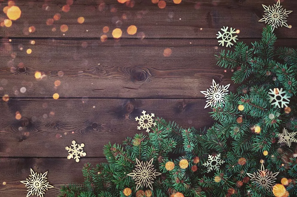 Winter Floor Photo Background Custom Printed Vintage Wood Merry Christmas Pine Needle Newborn Baby Family Party Backdrop Photo